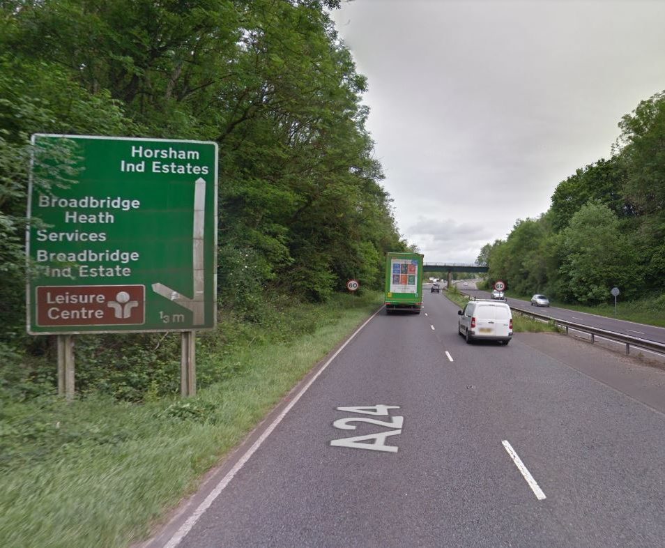 Pricey’s pets have ended up on the four-lane A24 in the past