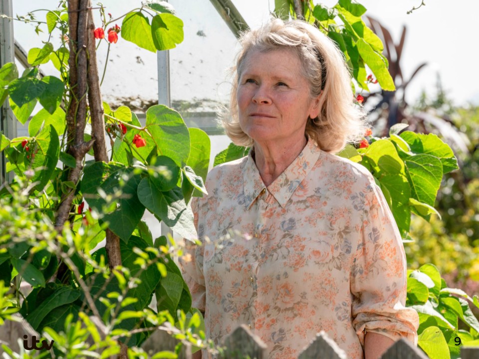  Imelda Staunton plays nosy neighbour Mary in the ITV drama Flesh And Blood