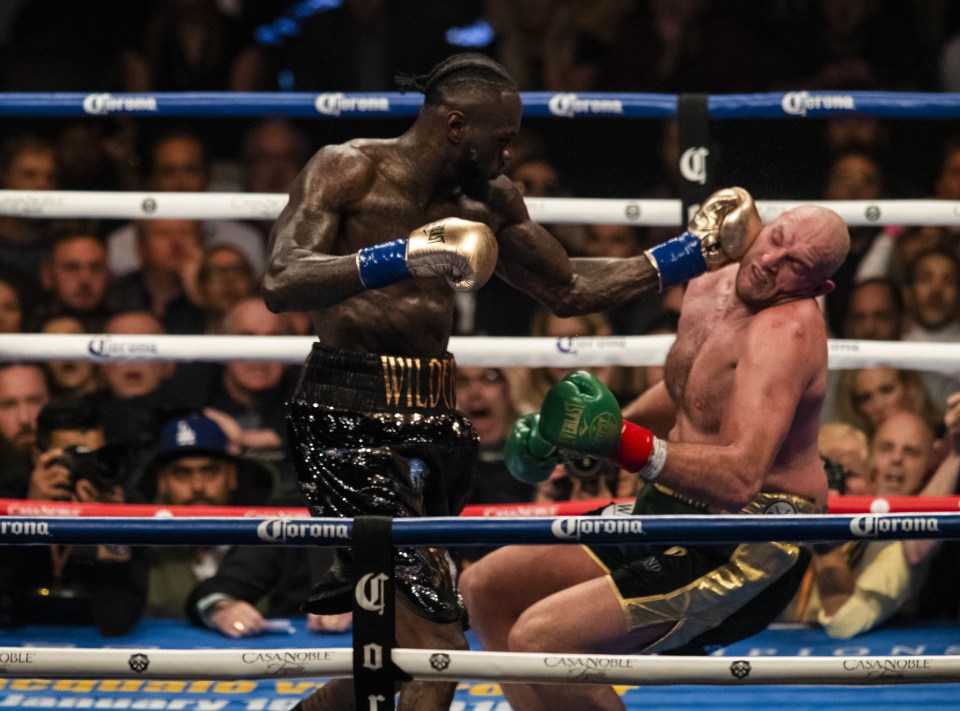  Deontay Wilder has the fiercest punch in boxing, according to his opponents