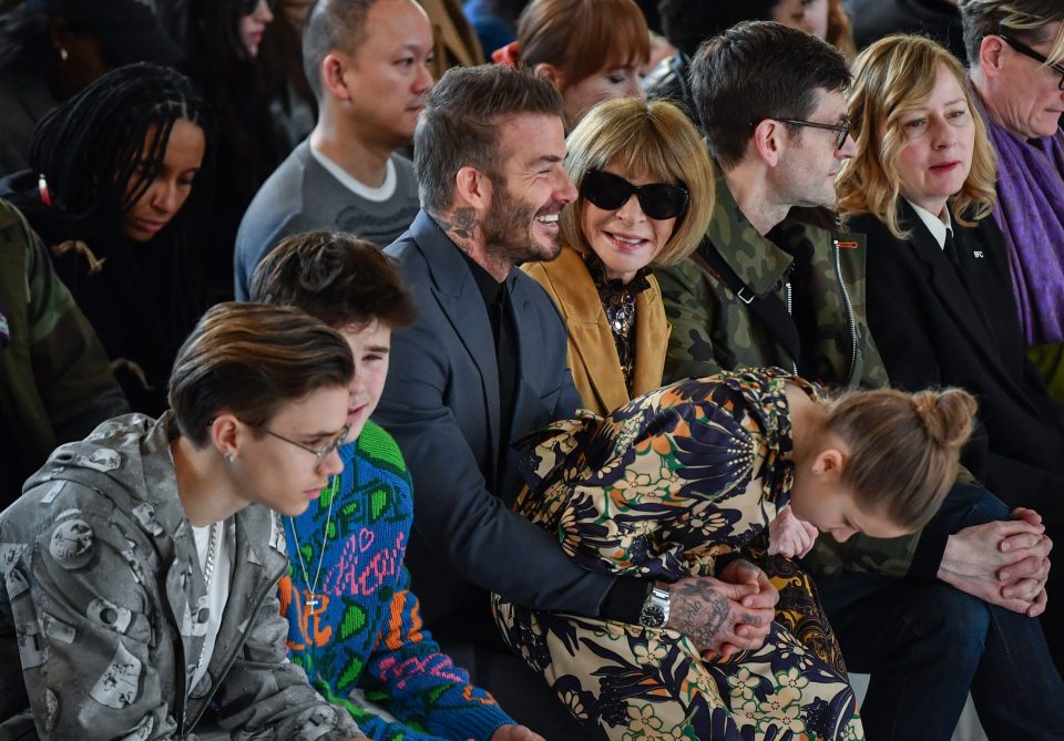  David and Anna Wintour laughed together