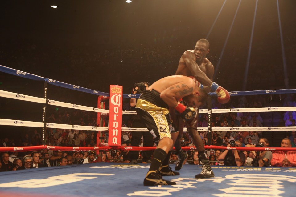  Eric Molina revealed he thought Wilder could floor a bull with his punch