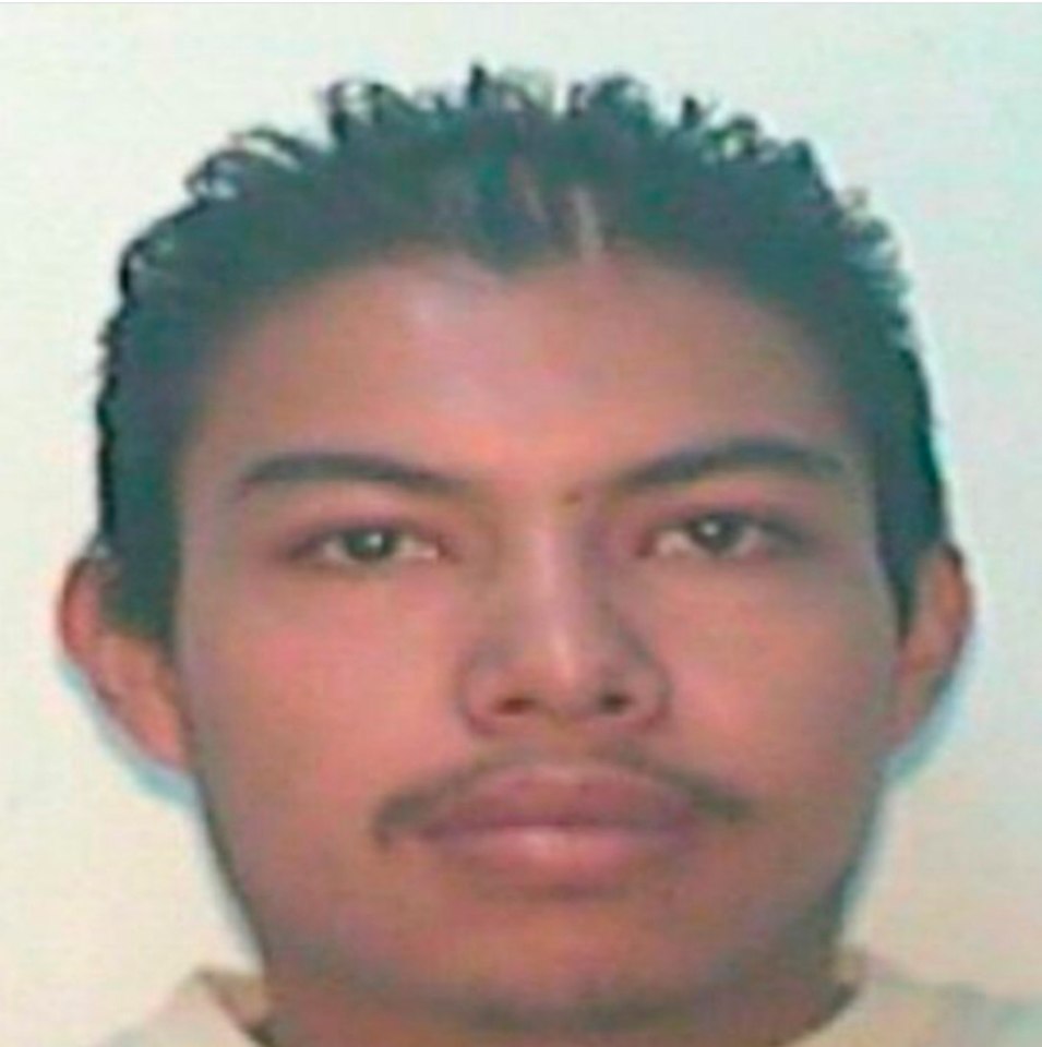  Male suspect Mario Alberto Reyes Najera was also arrested in a village in the state of Mexico