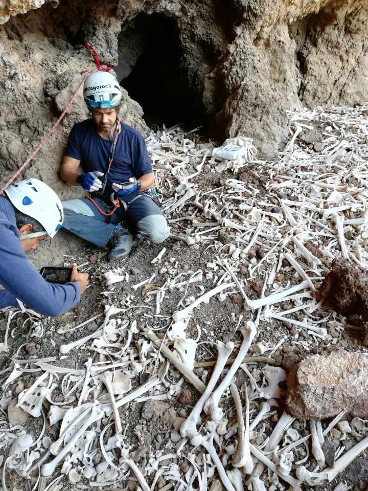  The ravine was likely a special burial spot for the civilisation