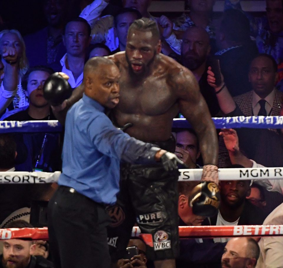  Deontay Wilder says he was ‘willing to die in the ring’ during his loss to Tyson Fury