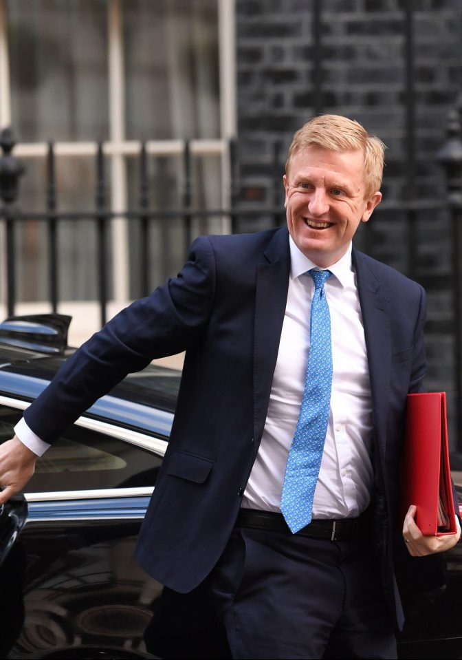  Oliver Dowden, Secretary of State for Digital Culture, Media and Sport, warned TikTok it needed to improve how it keeps kids safe