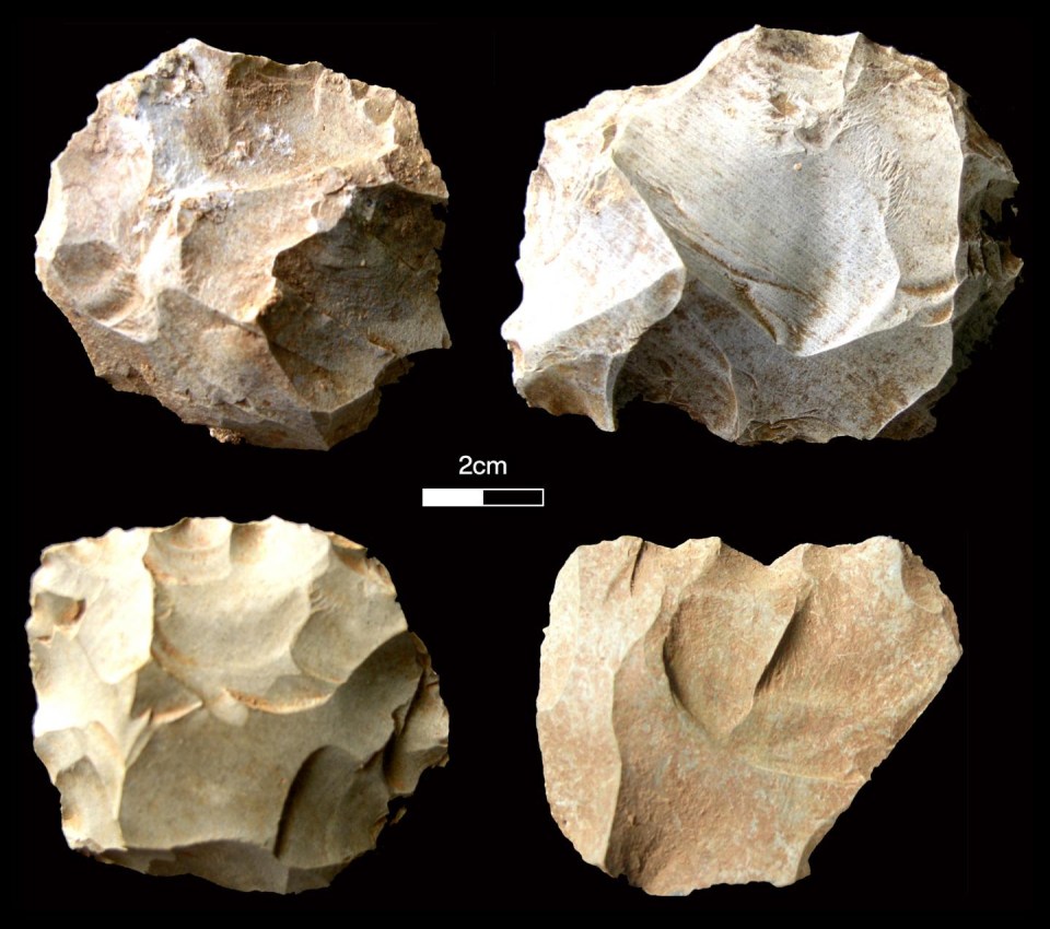  Stone tools found at the Dhaba archaeological site suggest the Toba super-eruption killed fewer human populations than previously thought