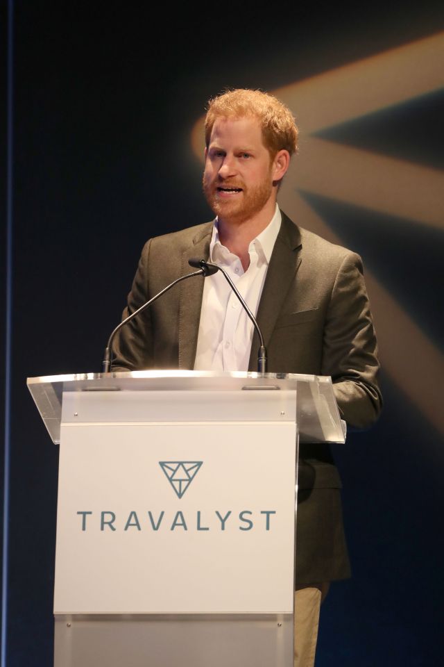  Prince Harry spoke about the importance of eco-tourism today