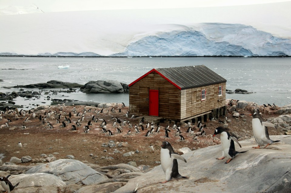 Lockroy was built in 1944, though the base has since been restored a number of times