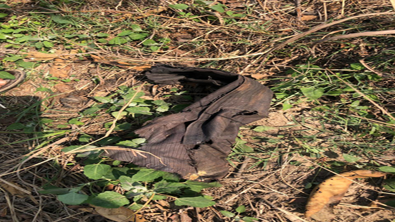 Rags of his clothes were also found