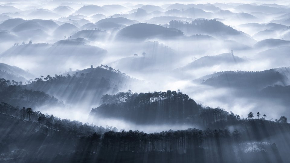  'Early fog' by @caokynhan - fog over Lam Dong province, provides an eery image in Vietnam's Central Highlands region, hundreds of metres above sea level