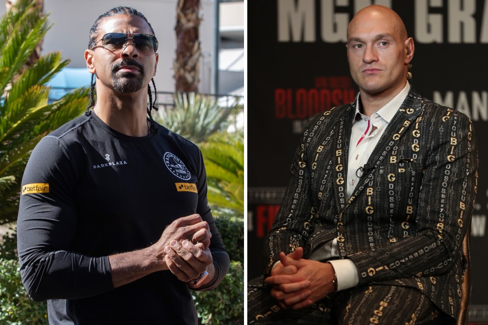  Haye cannot believe Fury has agreed to three US judges calling the fight against American Wilder in Las Vegas