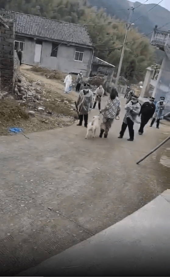  The woman walks the dog through a crowd of concerned villagers