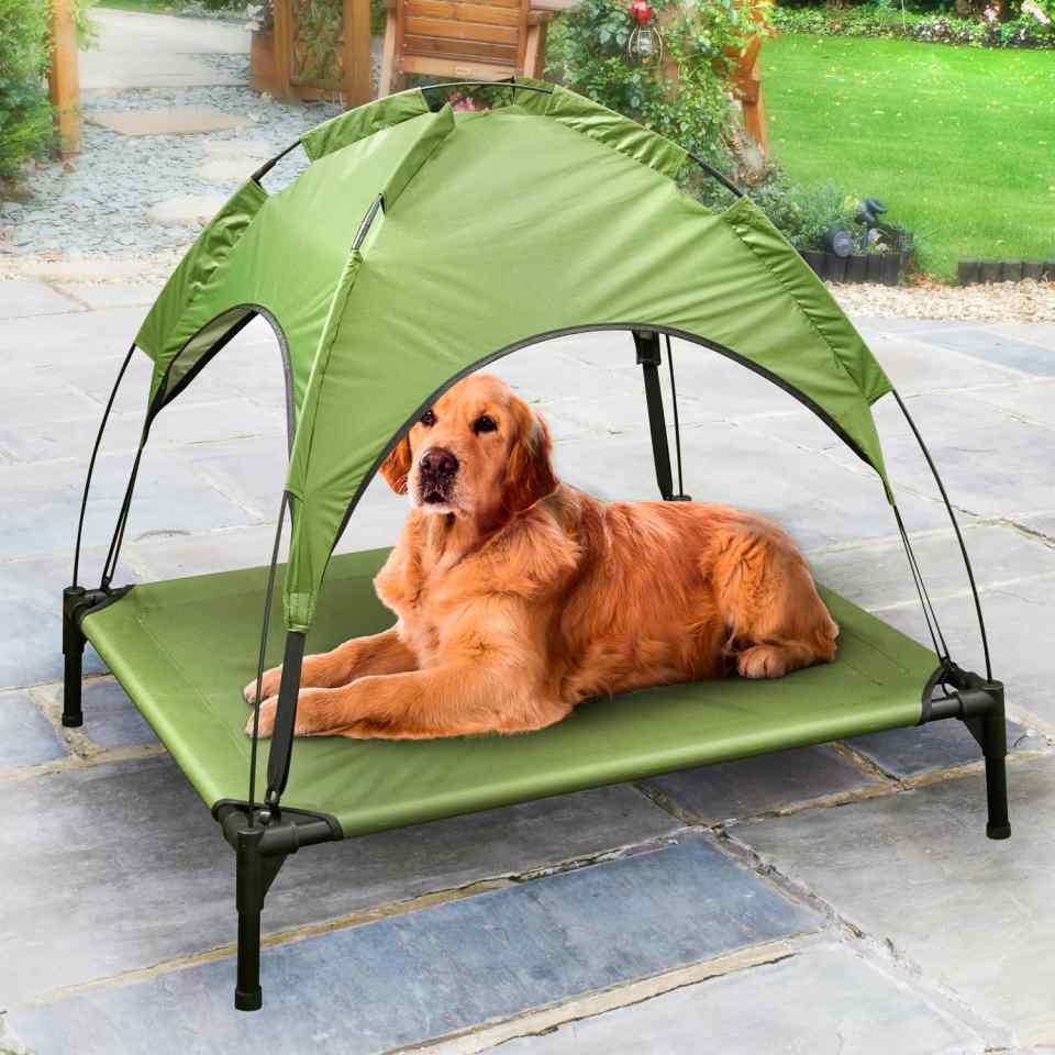  B&M is selling sun loungers for dogs with a shade cover for £20