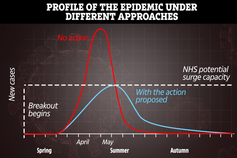 Experts said measures introduced to ‘delay’ the peak of the outbreak are also designed to reduce the number of people infected by the killer bug