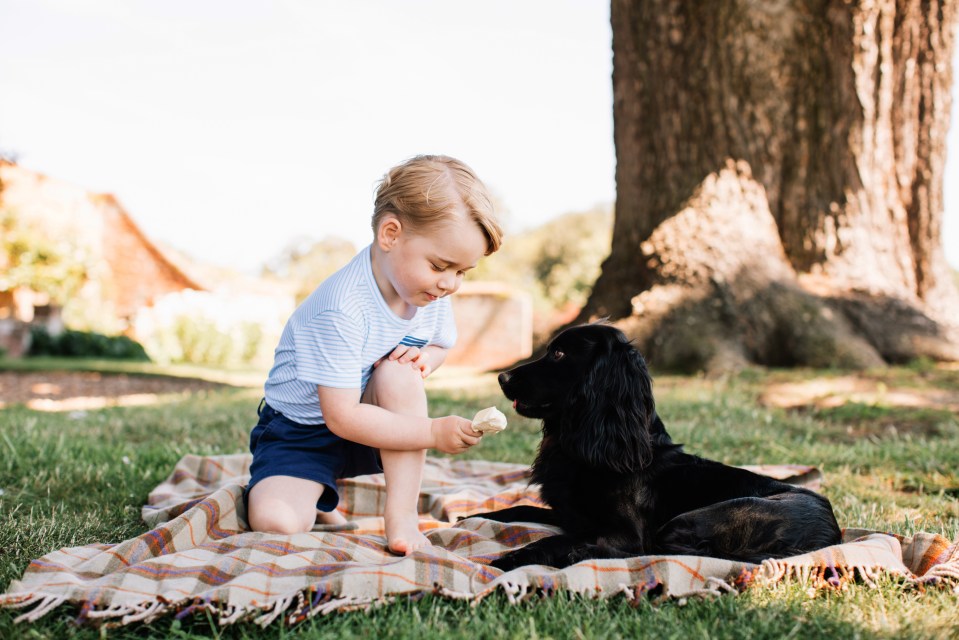 This sweet photo of Prince George playing with the family dog Lupo at Anmer Hall was released for this third birthday