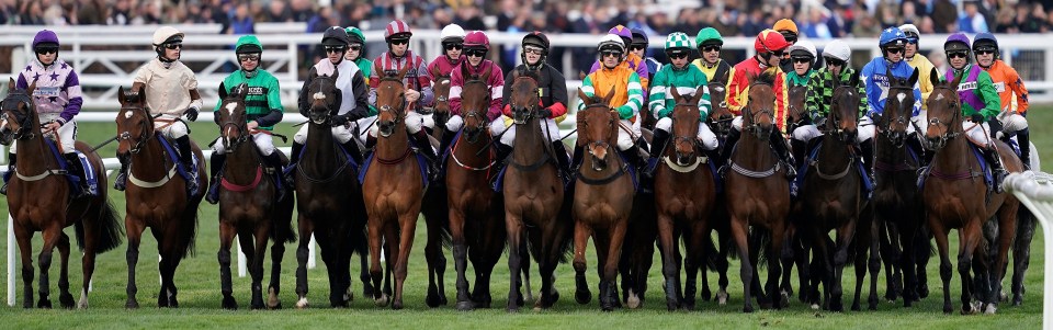 We reveal the dodgy horse names that have given racing commentators sleepless nights