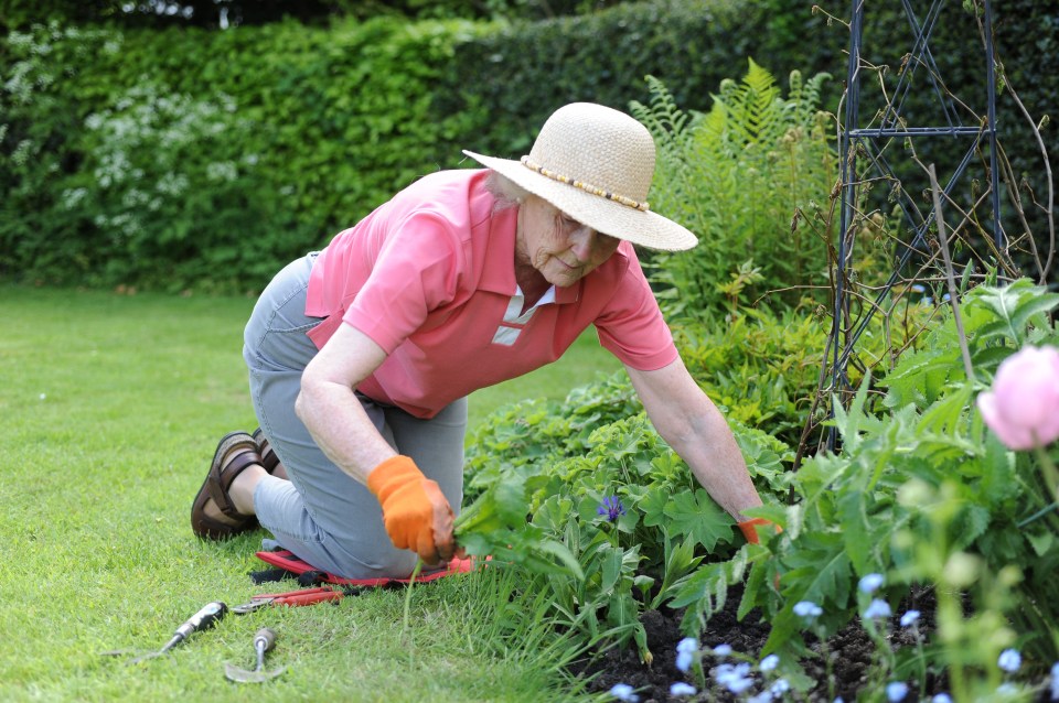  People are wondering whether to do a spot of gardening to pass the time during the lockdown