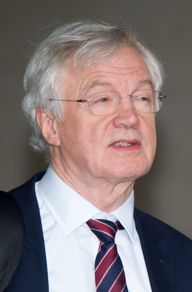  David Davis says it is 'hard to see how the Government can fail to respond' to the 36 Tory rebels