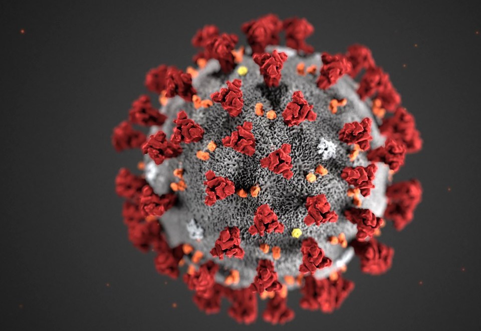  Coronavirus has been declared a pandemic by the World Health Organization