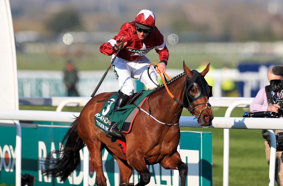  Tiger Roll was chasing an historic third straight victory in the Grand National