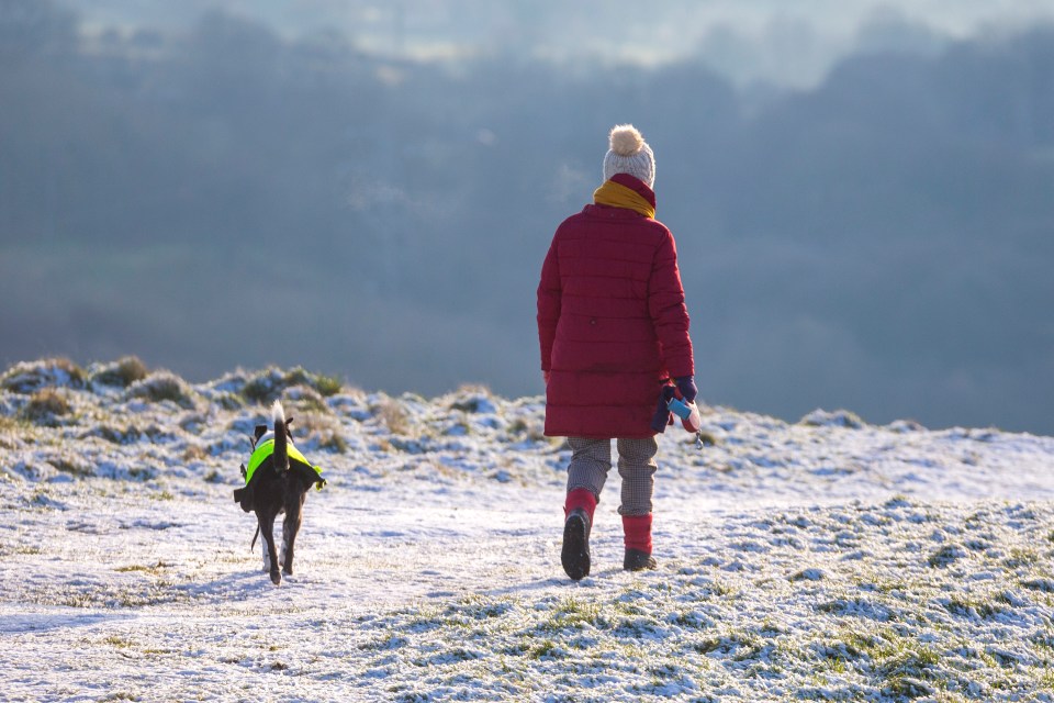 Elderly will still be able to go outside to walk their dogs, the Transport Secretary said