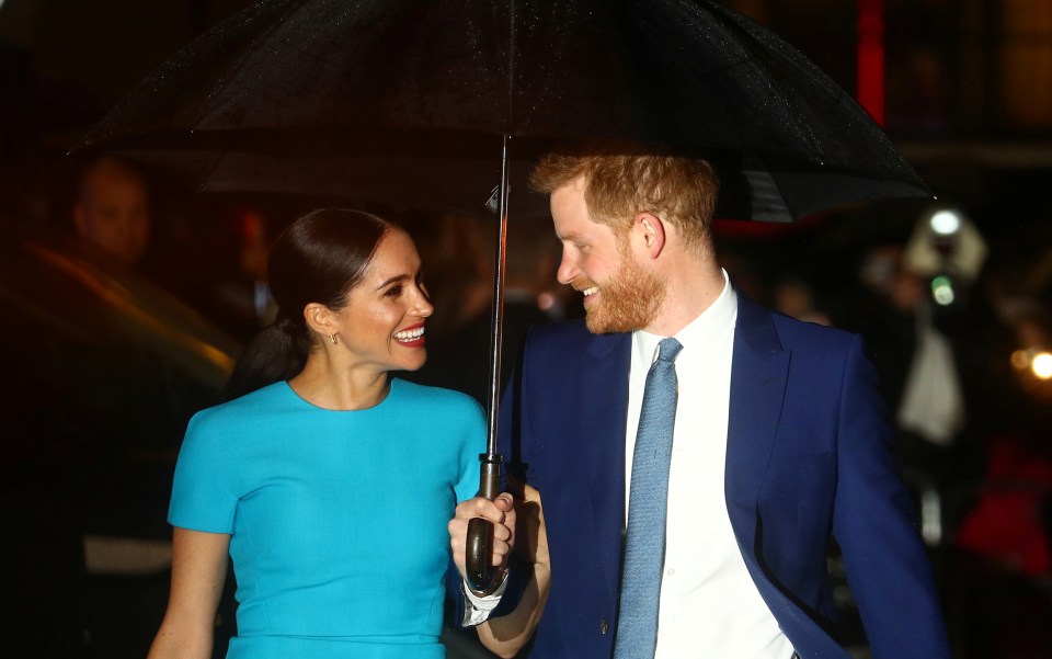 Meghan and Harry beamed and stood out in their bold blue outfits