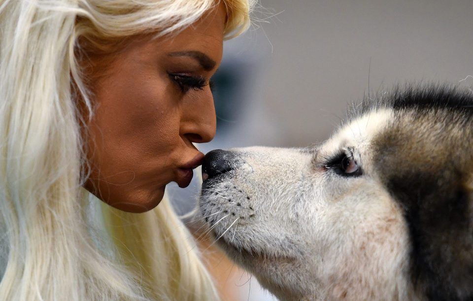  Crufts 2020 dog show was held at the National Exhibition Centre in Birmingham