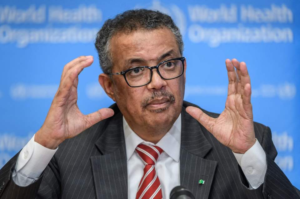  WHO chief Dr Tedros Adhanom Ghebreyesus has labelled the coronavirus outbreak a pandemic