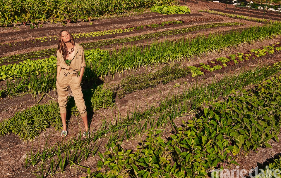  Gorgeous Gisele, 39, discusses the importance of protecting our planet