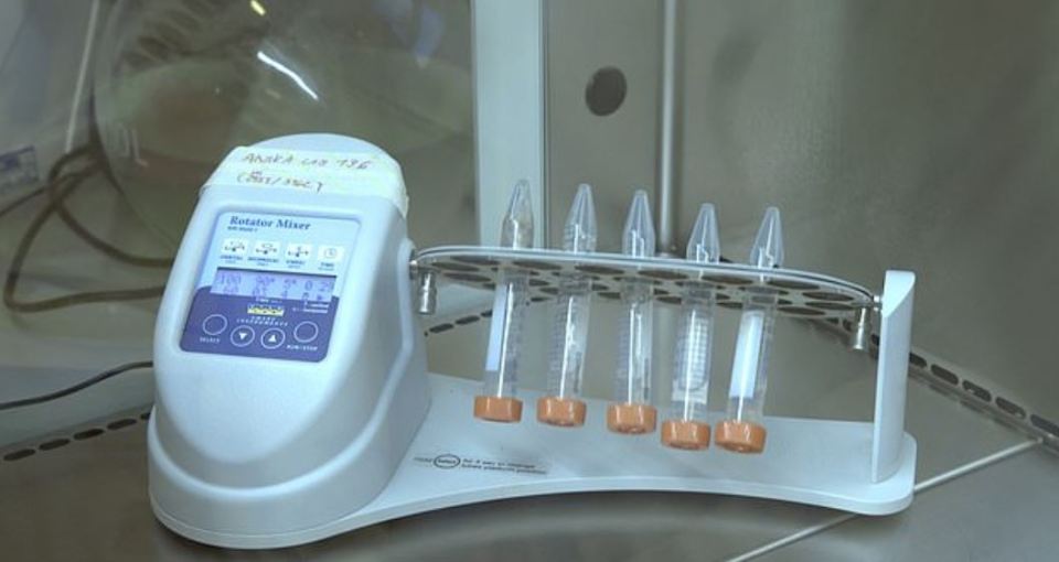  After 30 minutes, the strips can be tested in a laboratory (pictured)