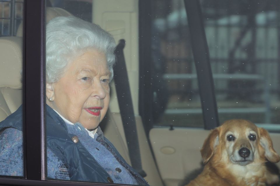  The Queen was pictured leaving London with her pet dog as she told Brits we must all 'play our part'