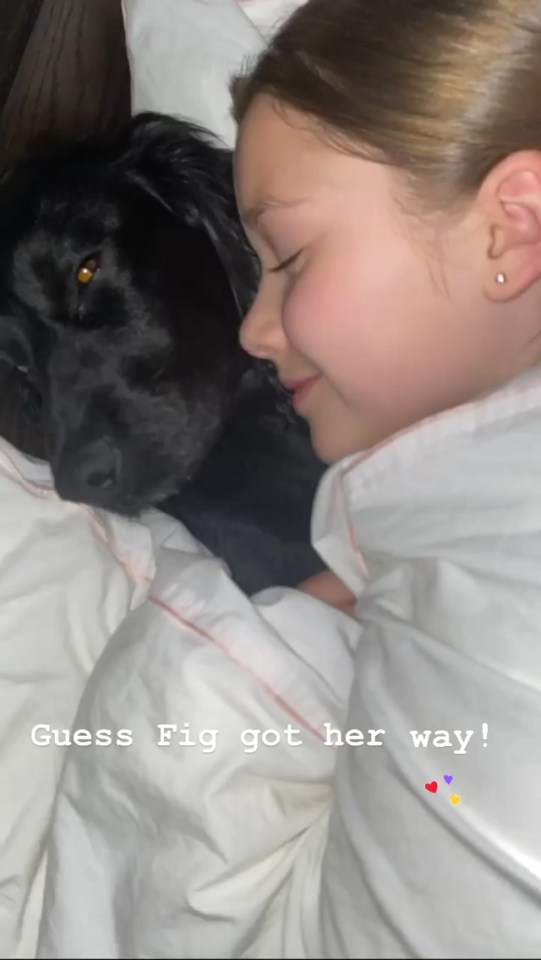  Victoria shared a cute photo of Harper cuddling up to the family dog