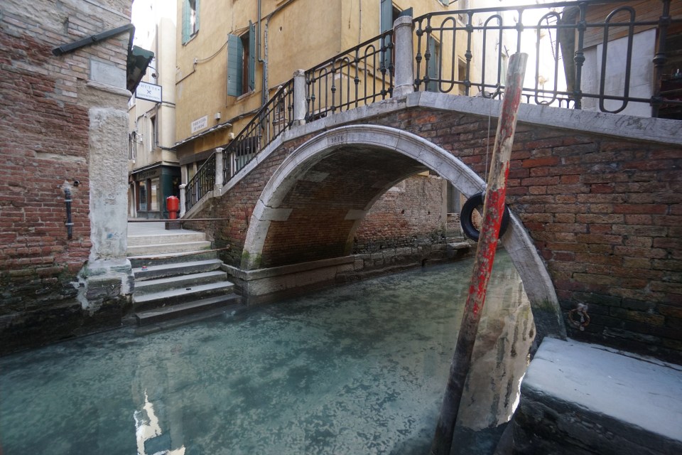  Venice canals in pristine condition after the coronavirus lockdown