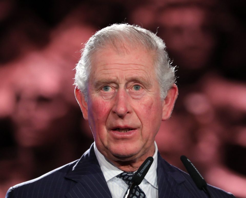  Prince Charles tested positive for coronavirus but is still working