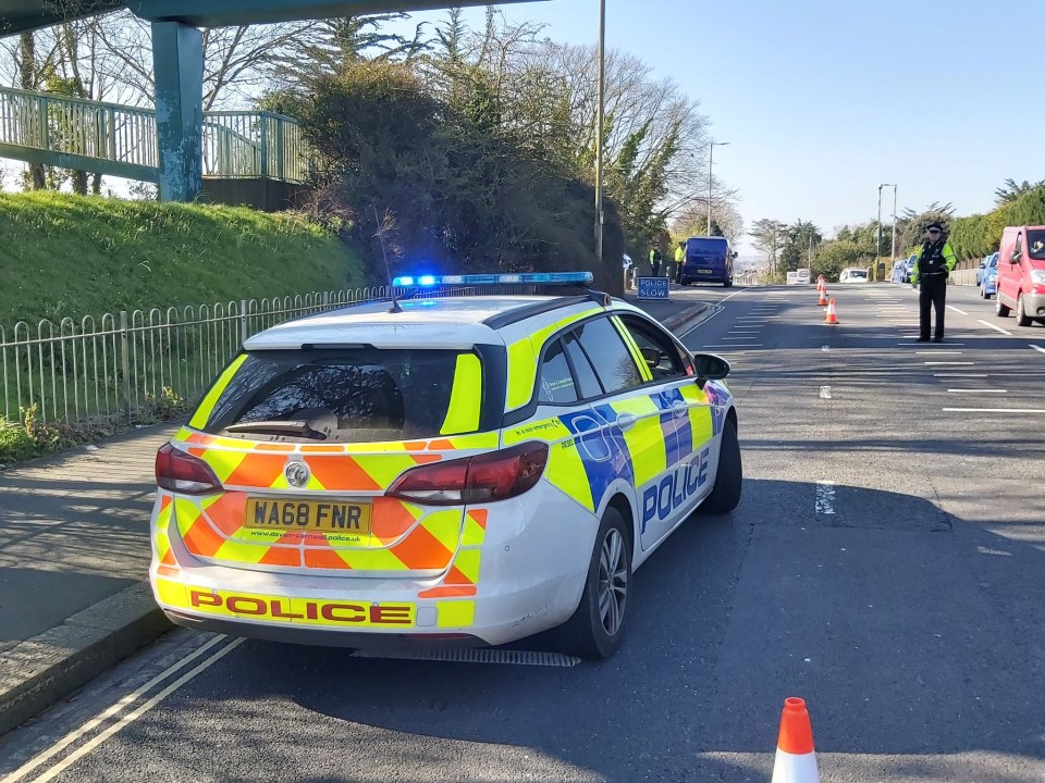 Police officers are on the streets stopping drivers to force Brits to stay home