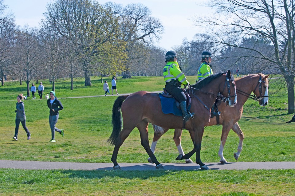 Police were out patrolling Greenwich Park in London today