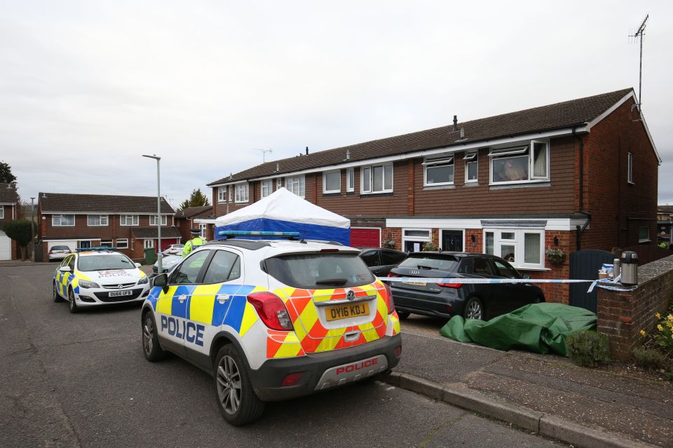  Police were still outside the home in Hemel Hempstead after the shocking incident