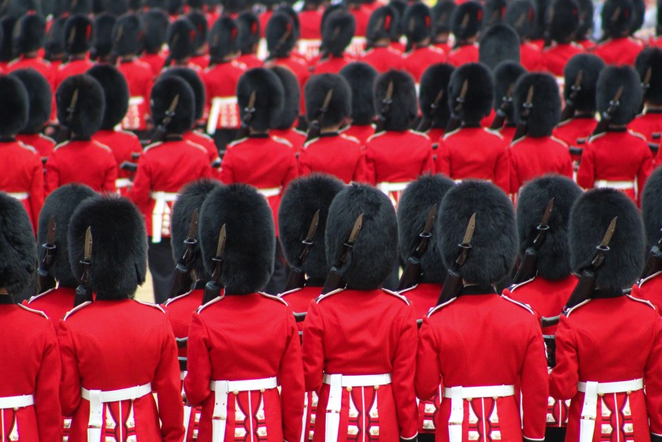  Soldiers neatly lined up in their bearskin hats at Horse Guard's Parade at Trooping the Colour in July 2016