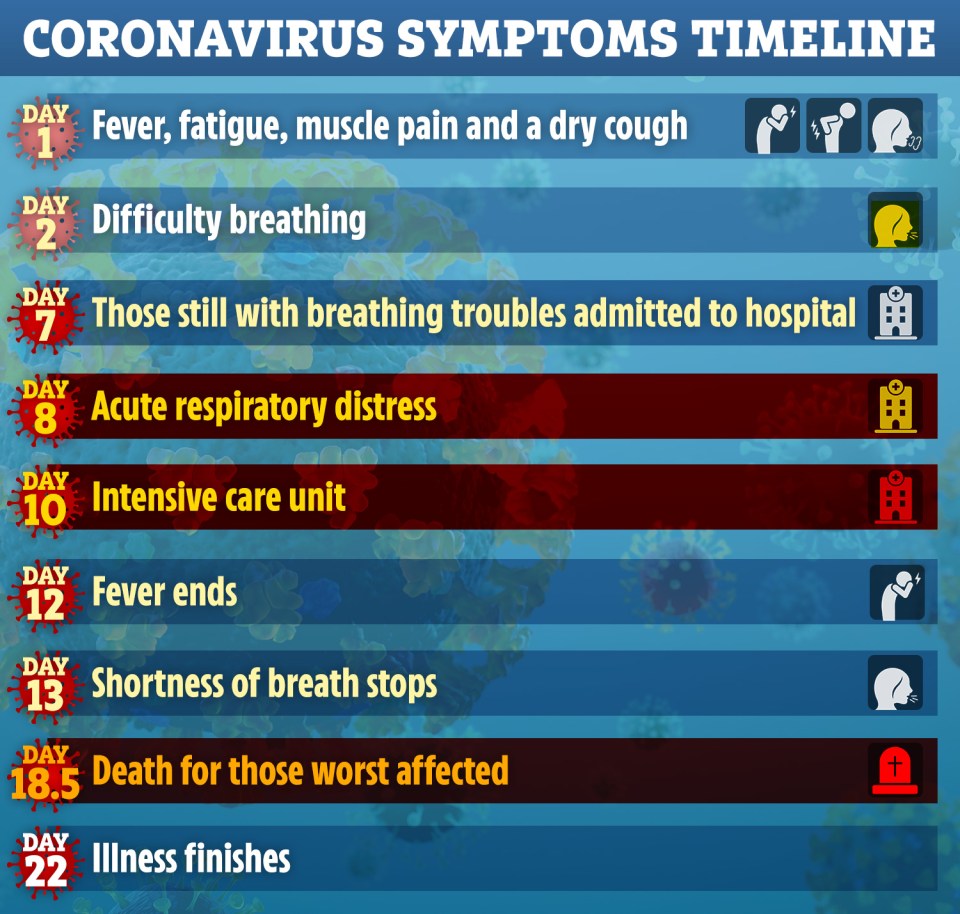  Scientists have produced a day-by-day breakdown of the typical Covid-19 symptoms