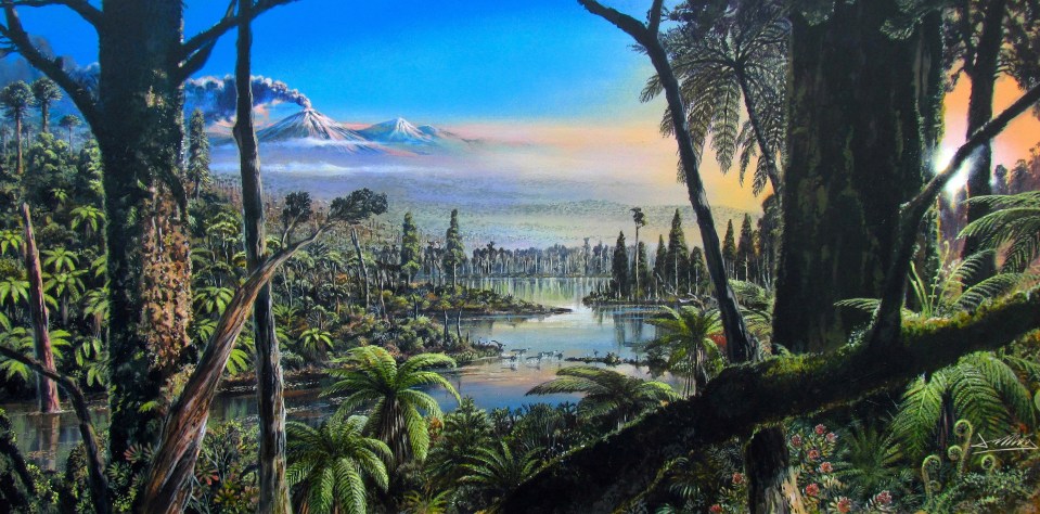  This is an illustration of what the Antarctica rainforest may have looked like