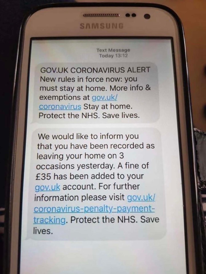  An image of this scam message was sent to The Sun