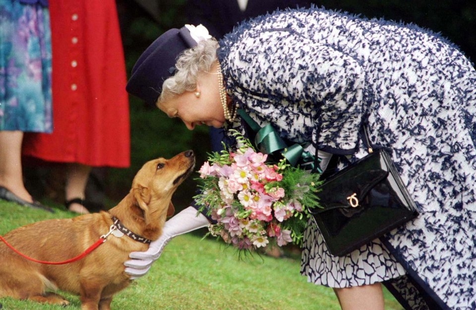 The Queen also had a special gravy recipe that was poured onto her pooch's food