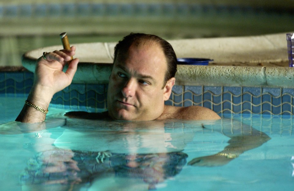  Shakespeare would've written The Sopranos if he was alive - it's that good