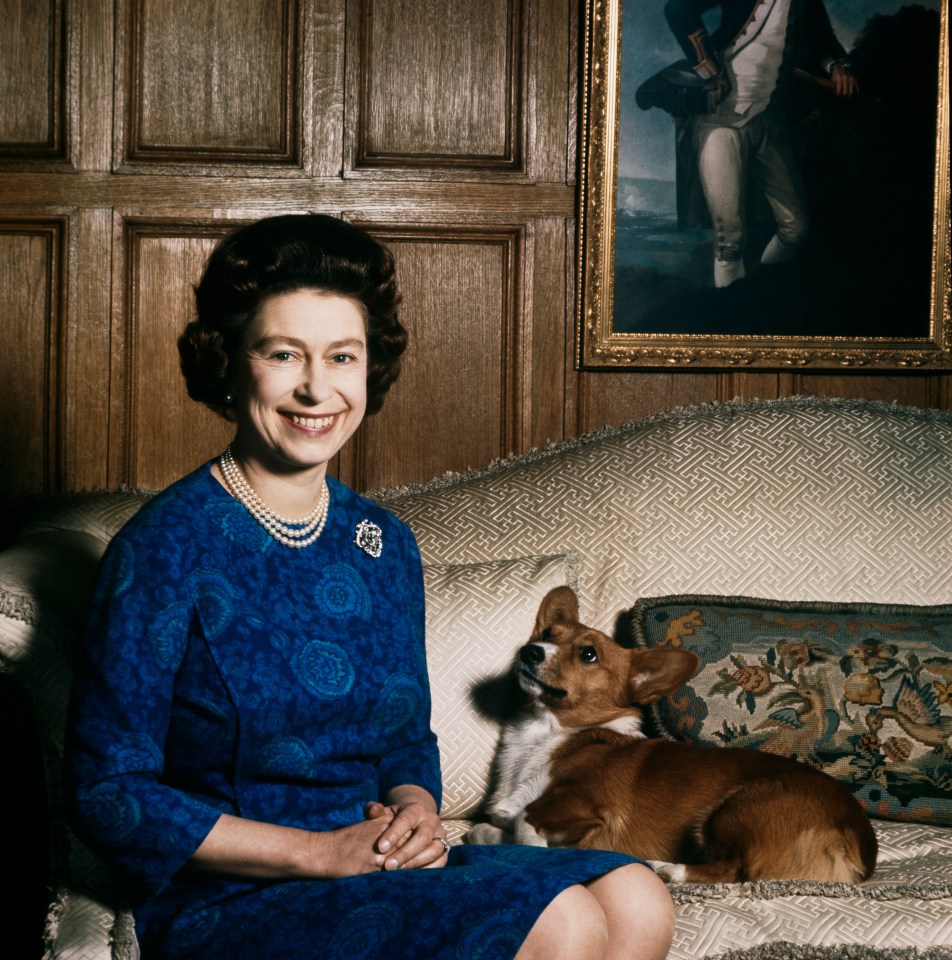 Former royal chef Darren McGrady said that Her Majesty's pooches had their own special menu