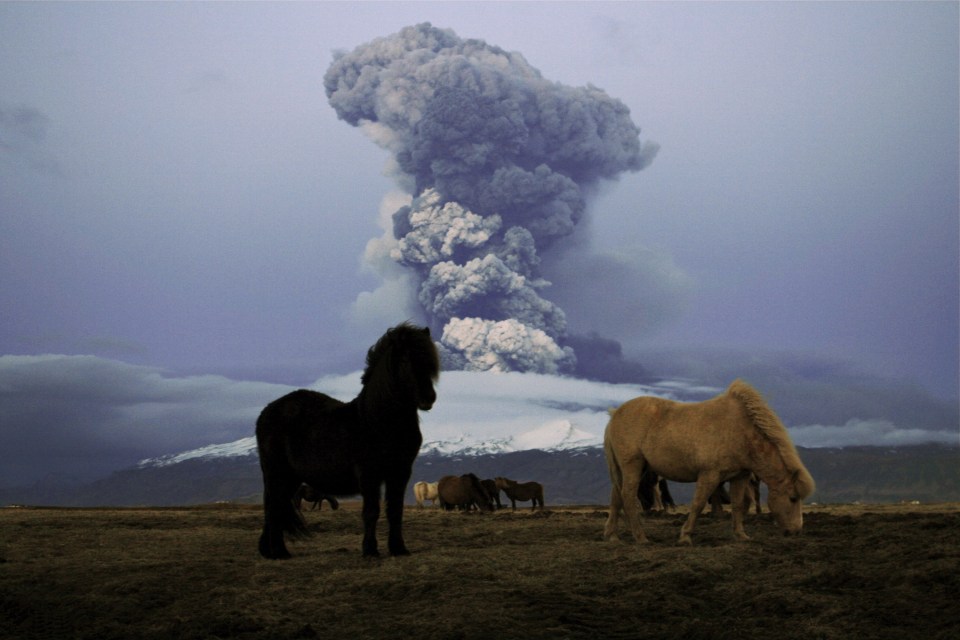 A major eruption occured on April 14, 2010 resulted in a plume of volcanic ash being thrown into the atmosphere over parts of Northern Europe