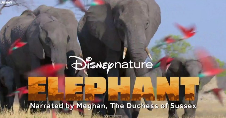 One of Meghan's first projects is narrating a new Disney documentary