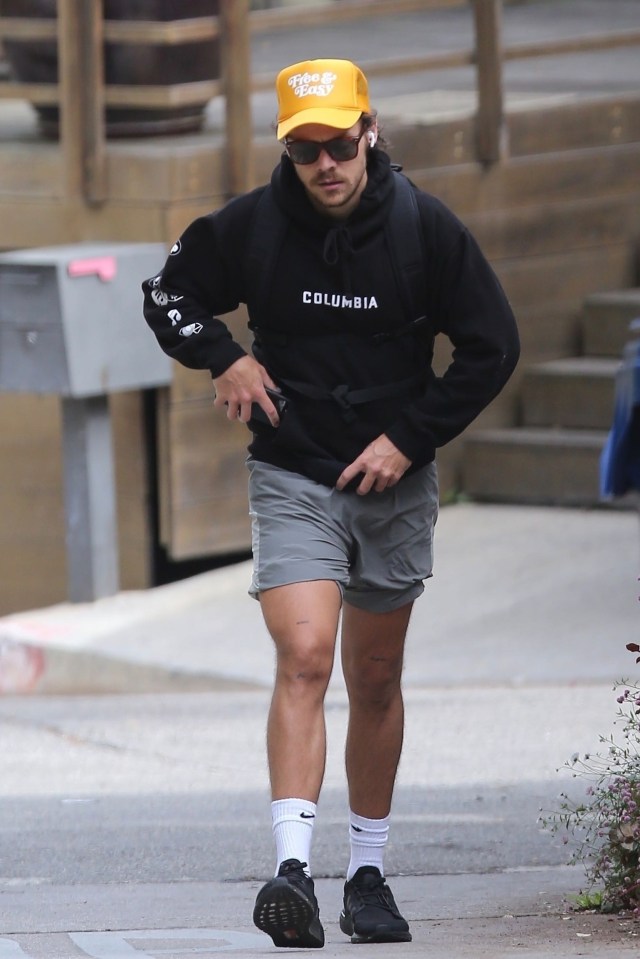  Harry Styles was pictured going for a solo hike in the Hollywood Hills