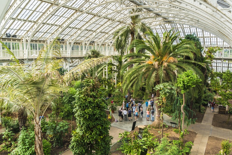 Kew Gardens is home to over 40,000 types of weird and wonderful plants in gigantic Victorian greenhouses on its 300 acres