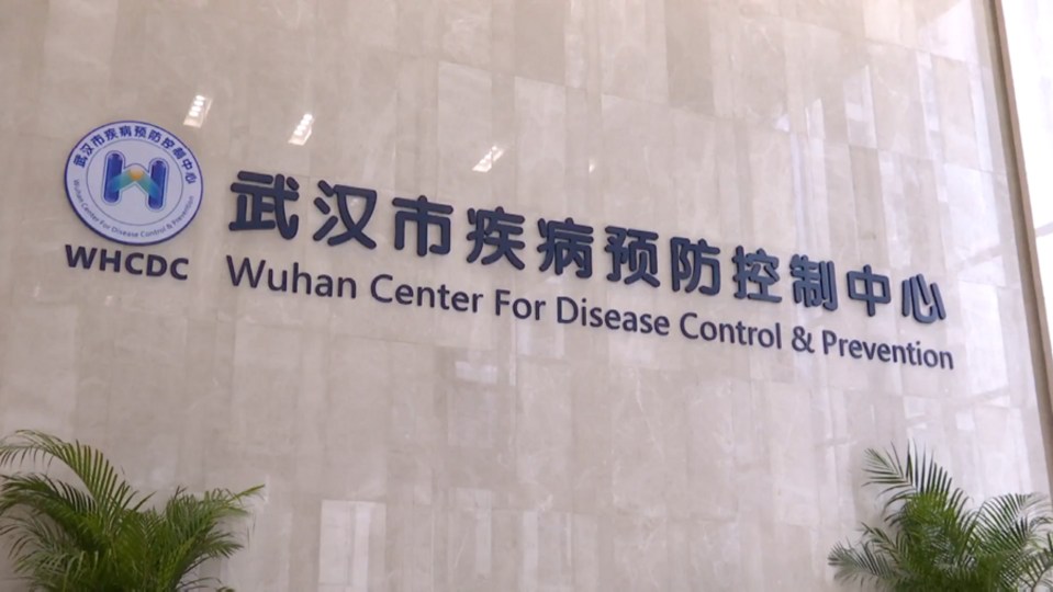  The short documentary has reawakened a wild conspiracy theory about the Covid-19 originating at the Wuhan Centre for Disease Control