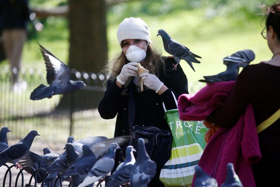  A woman in Regents Park feeds the pigeons on Sunday morning